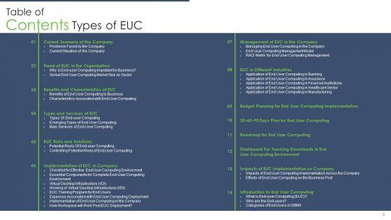 Types_Of_EUC_Ppt_PowerPoint_Presentation_Complete_Deck_With_Slides_Slide_3.jpg