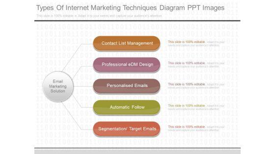 Types_Of_Internet_Marketing_Techniques_Diagram_Ppt_Images_1.jpg
