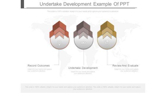 Undertake_Development_Example_Of_Ppt_1.jpg