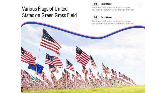 Various_Flags_Of_United_States_On_Green_Grass_Field_Ppt_PowerPoint_Presentation_Infographic_Template_Outline_PDF_Slide_1.jpg