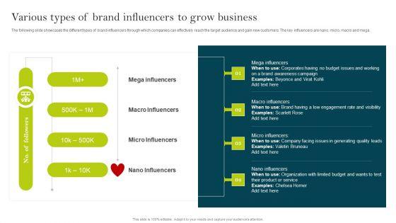 Various_Types_Of_Brand_Influencers_To_Grow_Business_Ppt_PowerPoint_Presentation_Diagram_Lists_PDF_Slide_1.jpg