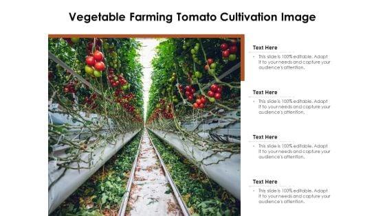 Vegetable_Farming_Tomato_Cultivation_Image_Ppt_PowerPoint_Presentation_Pictures_Tips_PDF_Slide_1.jpg