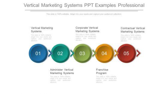 Vertical_Marketing_Systems_Ppt_Examples_Professional_1.jpg