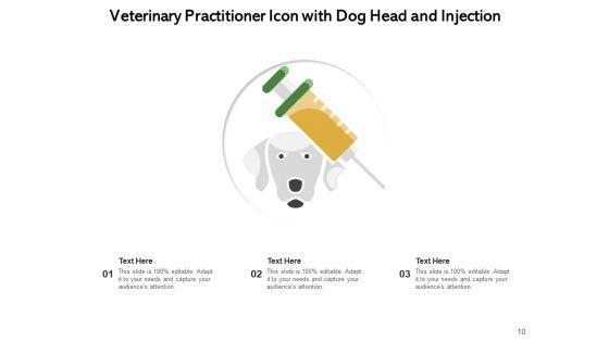 Veterinarian_Doctor_Examines_Ppt_PowerPoint_Presentation_Complete_Deck_Slide_10.jpg