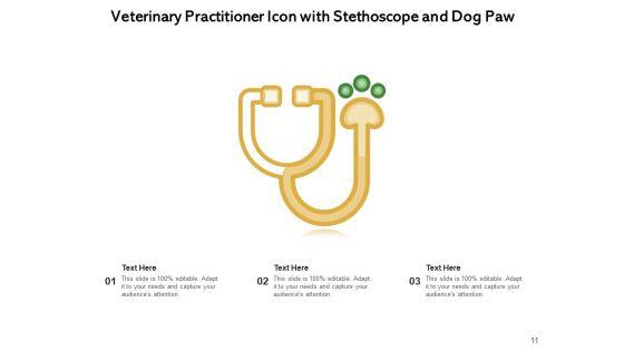 Veterinarian_Doctor_Examines_Ppt_PowerPoint_Presentation_Complete_Deck_Slide_11.jpg