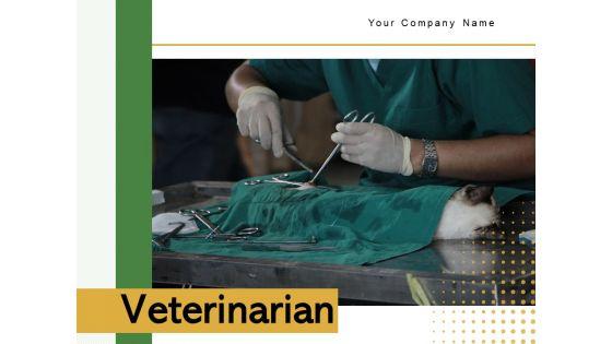 Veterinarian_Doctor_Examines_Ppt_PowerPoint_Presentation_Complete_Deck_Slide_1.jpg