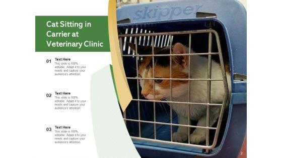 Veterinarian_Doctor_Examines_Ppt_PowerPoint_Presentation_Complete_Deck_Slide_2.jpg