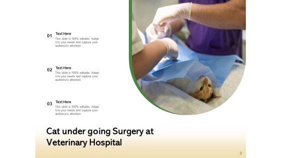 Veterinarian_Doctor_Examines_Ppt_PowerPoint_Presentation_Complete_Deck_Slide_3.jpg