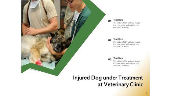 Veterinarian_Doctor_Examines_Ppt_PowerPoint_Presentation_Complete_Deck_Slide_5.jpg