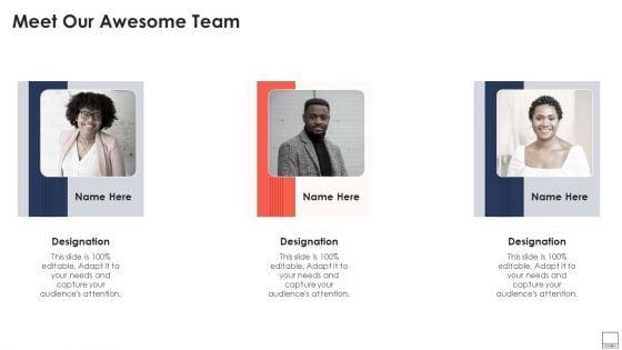 Virtual_Video_Hosting_Platform_Capital_Raising_Meet_Our_Awesome_Team_Slides_PDF_Slide_1.jpg