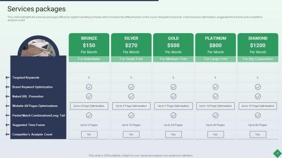 Website_Marketing_Enterprise_Profile_Ppt_PowerPoint_Presentation_Complete_Deck_With_Slides_Slide_9.jpg