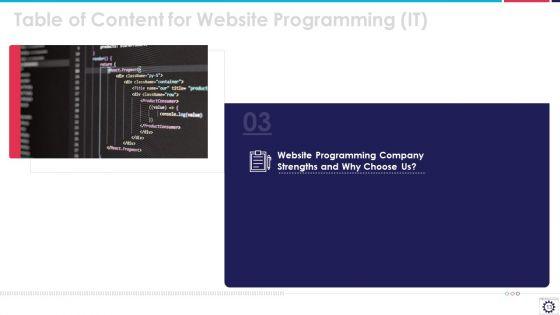 Website_Programming_IT_Ppt_PowerPoint_Presentation_Complete_Deck_With_Slides_Slide_13.jpg