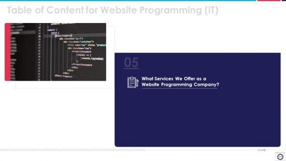 Website_Programming_IT_Ppt_PowerPoint_Presentation_Complete_Deck_With_Slides_Slide_17.jpg