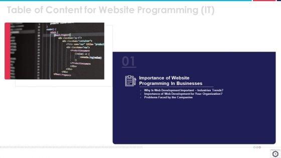 Website_Programming_IT_Ppt_PowerPoint_Presentation_Complete_Deck_With_Slides_Slide_5.jpg