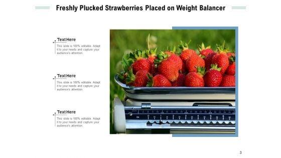 Weight_Scale_Measurement_Measuring_Ppt_PowerPoint_Presentation_Complete_Deck_Slide_3.jpg