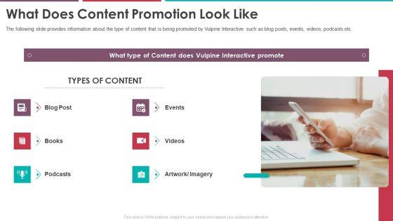 What_Does_Content_Promotion_Look_Like_Pitch_Deck_Of_Vulpine_Interactive_Fundraising_Infographics_PDF_Slide_1.jpg