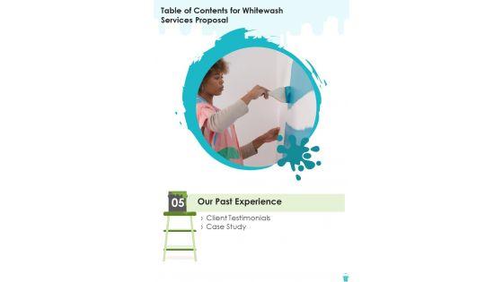 Whitewash_Services_Proposal_Example_Document_Report_Doc_Pdf_Ppt_Slide_17.jpg