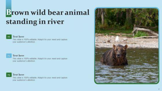 Wild_Bear_Images_Ppt_PowerPoint_Presentation_Complete_Deck_With_Slides_Slide_2.jpg