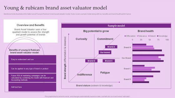 Young_And_Rubicam_Brand_Asset_Valuator_Model_Brand_And_Equity_Evaluation_Techniques_Information_PDF_Slide_1.jpg