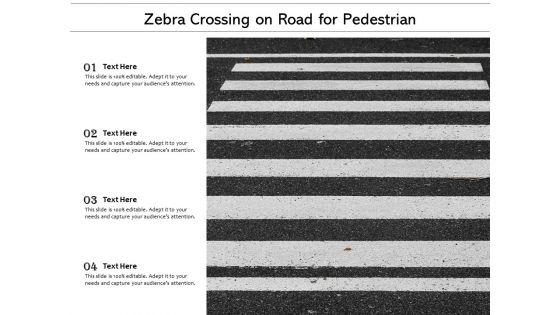 Zebra_Crossing_On_Road_For_Pedestrian_Ppt_PowerPoint_Presentation_Layouts_Display_Slide_1.jpg