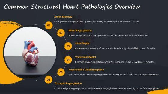 Anatomy Of The Heart PPT PPT Outline VM