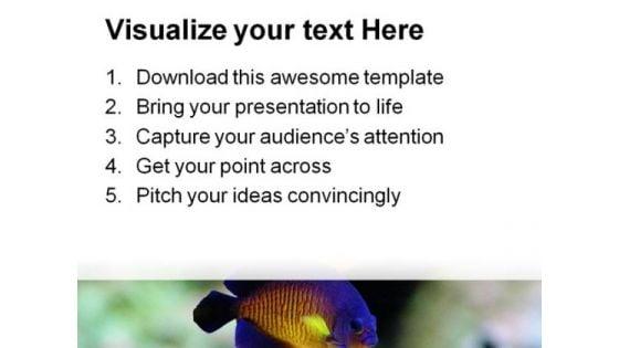 angel_fish_animals_powerpoint_templates_and_powerpoint_backgrounds_0111_print.jpg