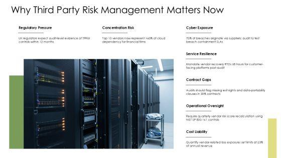 Auditing Third Party Risk Amangement PPT PowerPoint VM