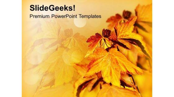 autumn_leaves_background_beauty_powerpoint_templates_ppt_backgrounds_for_slides_0213_title.jpg