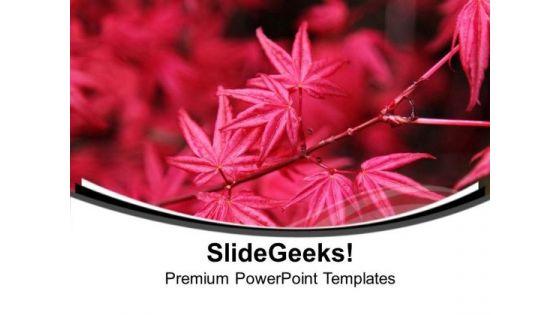 autumn_theme_with_pink_flowers_powerpoint_templates_ppt_backgrounds_for_slides_0513_title.jpg