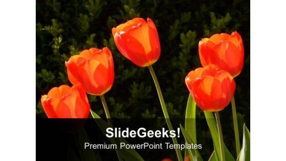 background_of_tulip_flowers_powerpoint_templates_ppt_backgrounds_for_slides_1212_title.jpg
