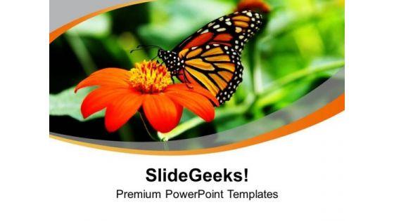 background_with_flower_and_butterfly_happiness_powerpoint_templates_ppt_backgrounds_for_slides_0413_title.jpg