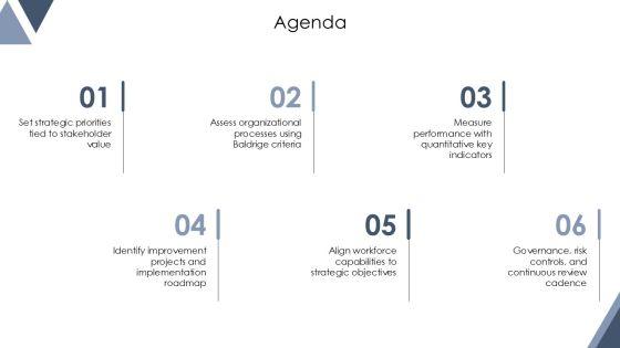 Baldrige Performance Excellence Framework PPT Slides VM