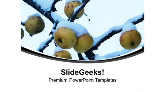 beautiful_colors_and_fruit_in_background_powerpoint_templates_ppt_backgrounds_for_slides_0413_title.jpg