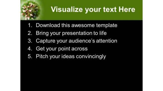 beautiful_flower_with_great_effects_powerpoint_templates_ppt_backgrounds_for_slides_0613_text.jpg