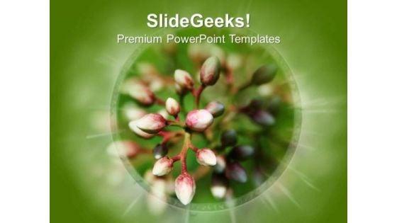 beautiful_flower_with_great_effects_powerpoint_templates_ppt_backgrounds_for_slides_0613_title.jpg