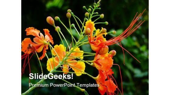 beautiful_orchid_flower_nature_powerpoint_templates_and_powerpoint_backgrounds_0311_title.jpg