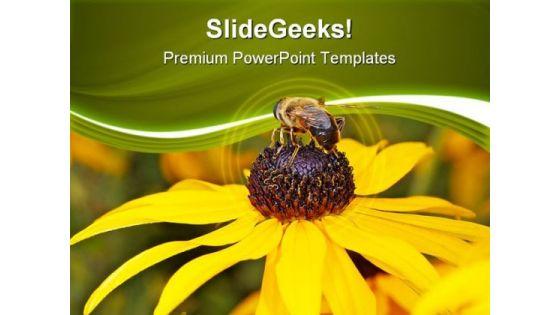 bee_on_yellow_flower_nature_powerpoint_templates_and_powerpoint_backgrounds_0311_title.jpg