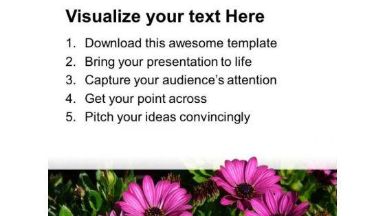 blooming_flowers_nature_beauty_powerpoint_templates_ppt_backgrounds_for_slides_0213_print.jpg