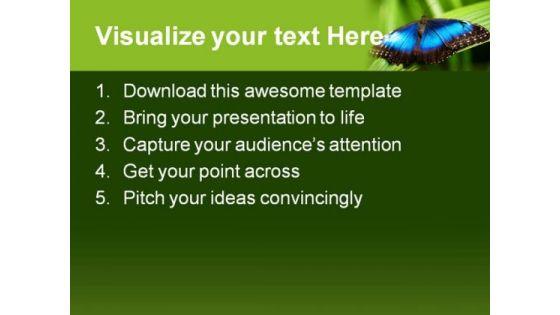 blue_morpho_butterfly_beauty_powerpoint_templates_and_powerpoint_backgrounds_0211_text.jpg