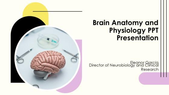 Brain Anatomy And Physiology PPT Presentation PPT Summary VM