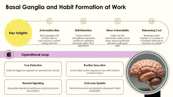 Brain Anatomy And Physiology PPT Presentation PPT Summary VM