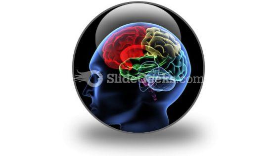 brain_powerpoint_icon_c.jpg