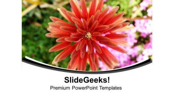 bright_and_colorful_flower_nature_powerpoint_templates_ppt_backgrounds_for_slides_0613_title.jpg