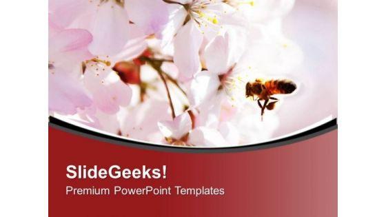 bright_color_honey_bee_and_flower_background_powerpoint_templates_ppt_backgrounds_for_slides_0413_title.jpg