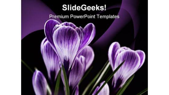 bunch_of_flowers_beauty_powerpoint_templates_and_powerpoint_backgrounds_0211_title.jpg