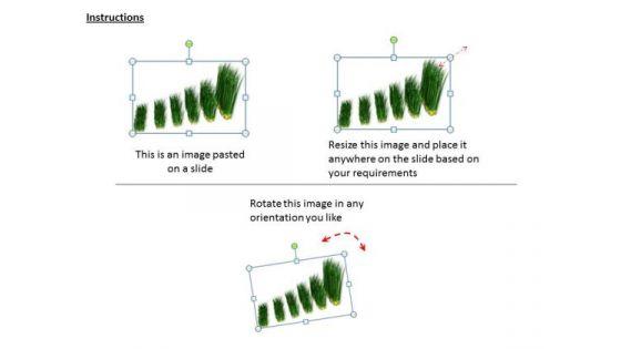 business_and_strategy_display_results_with_grass_bar_chart_images_2.jpg