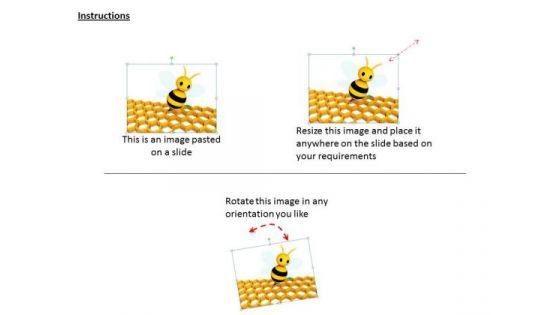 business_development_strategy_honey_bee_life_cycle_clipart_2.jpg