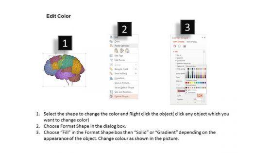 business_diagram_colored_human_brain_for_text_repesentation_presentation_template_3.jpg