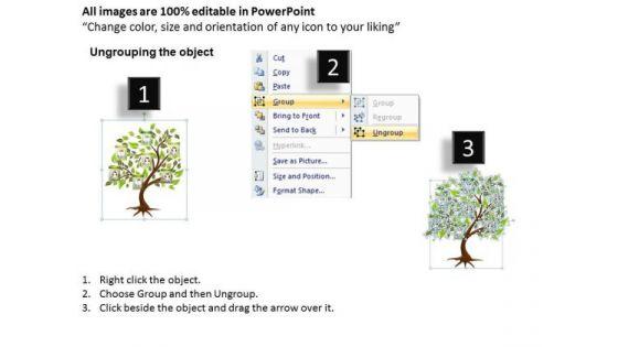 business_finance_strategy_development_family_tree_business_framework_model_2.jpg