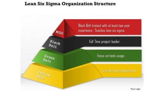 business_framework_lean_six_sigma_organization_structure_powerpoint_presentation_1.jpg